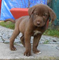 Onkel_Sam_21122014_h-neu.jpg