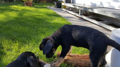 IMG-20160824-WA0005.jpg