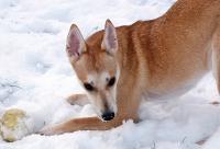 DSCF0590.JPG
