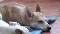 DSCF0718.JPG