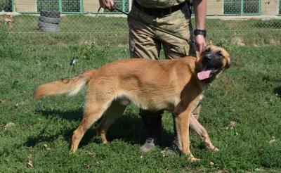 LC_Aug_448.JPG