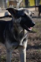 Lucenec_469.JPG