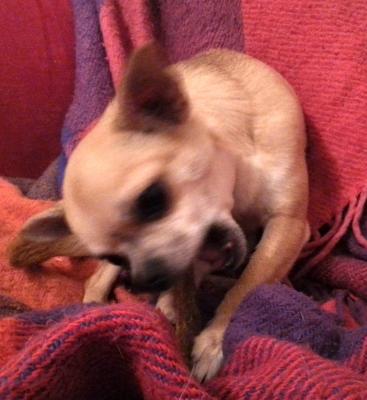 20160127_174857.jpg