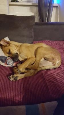 20160321_004113.jpg
