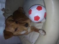 20151119_131354.jpg