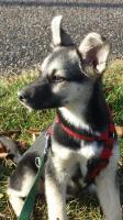 20171122_114109_resized.jpg