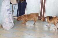 IMG_0773.jpg