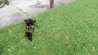 IMG_20160513_143804.jpg