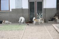 IMG_3059~0.jpg