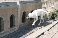 IMG_3355~0.jpg
