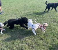 IMG_5183.jpeg