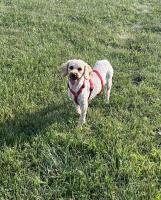 IMG_5186.jpeg