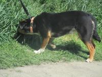 IMG_9517~0.jpg