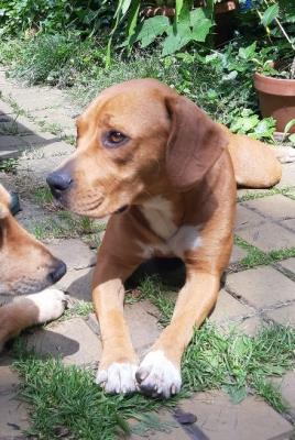 Aranka_28329.jpg