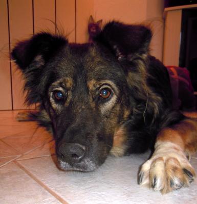 DSCN5477.JPG