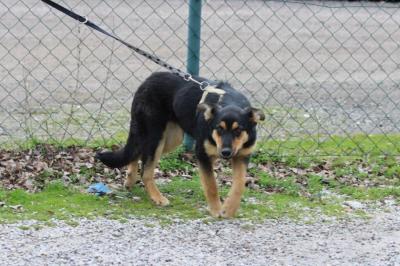 Nitra_am_7_4_2018_618.jpg
