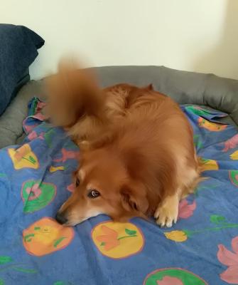 Osky_28729.jpg