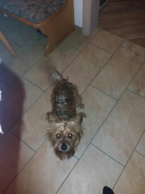 teddy09.jpg