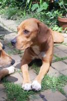 Aranka_28329.jpg