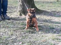 Maja_282329.jpg