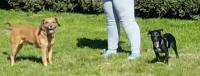Nanny_282129.jpg