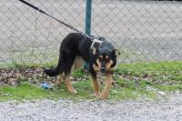 Nitra_am_7_4_2018_618.jpg