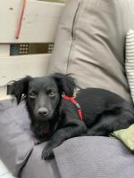 WhatsApp_Image_2020-06-18_at_19_41_44.jpeg