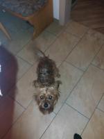 teddy09.jpg