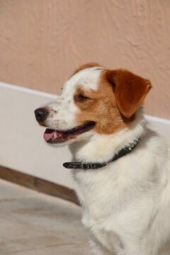 50107012qw.jpg