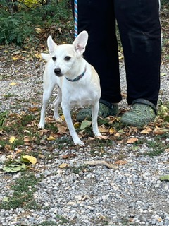 63da996e-ccca-4724-ba07-c9736dcbde15.JPG