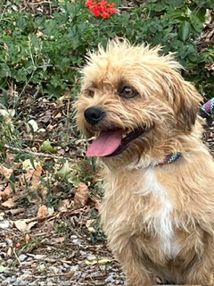 73a522a5-0084-4eca-9601-5bb33ed3e676.JPG