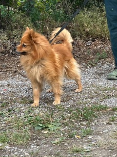 896187c3-1579-45f9-a2fd-0b24a7ea28ac.JPG