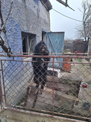 WhatsApp_Image_2025-01-21_at_22_55_36.png