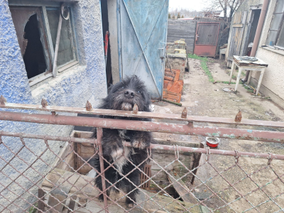 WhatsApp_Image_2025-01-21_at_22_55_37_28129.png
