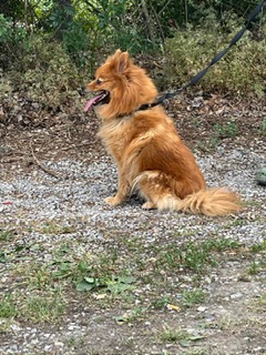 ff058489-b138-4120-9011-f6b30aced0ad.JPG