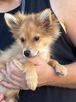 0256b485-9b62-456a-b815-5ad3d6669cf3.JPG