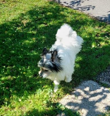 20260518_091543_resized.jpg