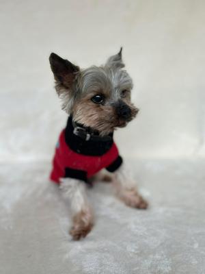 651193404_910032801814302_6934672608367925283_n.jpg