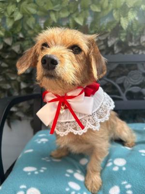 825260823_1979718769371405_8948099552579887657_n.jpg
