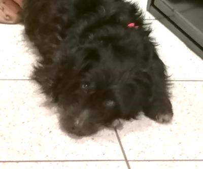 Bubby2.jpg