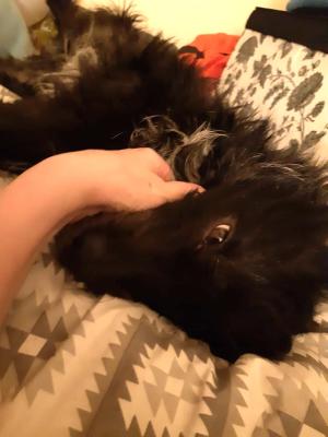 Bubby5.jpg