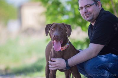 Dobermannmix_28329.jpg