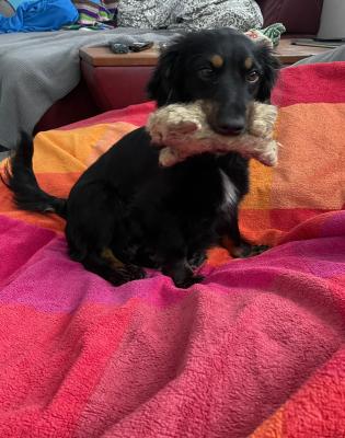 Helga4.jpeg