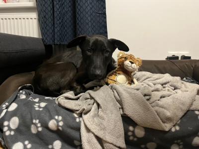 IMG_005228129.jpeg