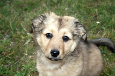 IMG_1616.JPG