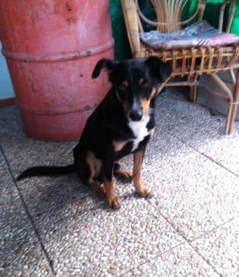 Micky_28129.jpg