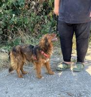 68db8d73-9ce1-48d0-ab23-a612e5a4bd49.JPG