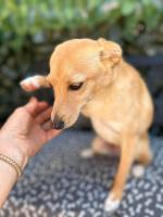 724612373_981847561399087_6985312510381881312_n.jpg