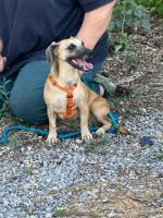 85133b3f-ab50-4d20-8058-20a21e3e3465.JPG
