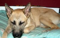 DSC08989.JPG